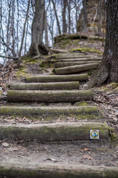 13442484_10153680547207544_8754319360502751195_o